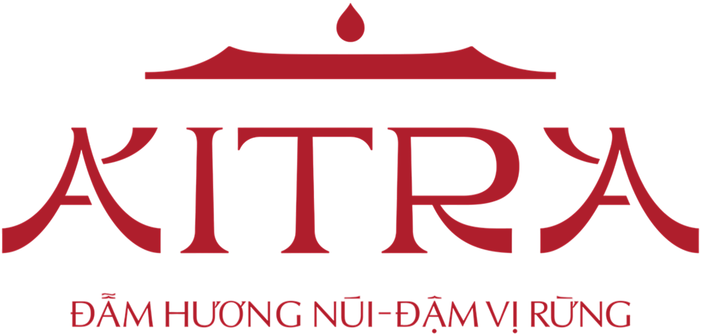 Logo Aitra