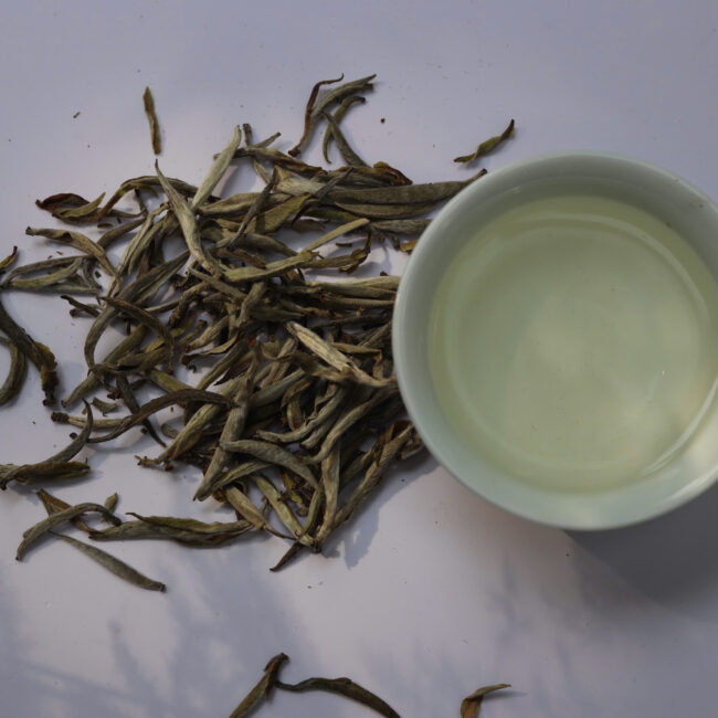 Bạch trà kim